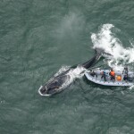 Responders attempting to free Division of entangled gear in December 2025