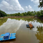 A shrimp pond in India
