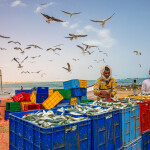 Fishermen collecting fish in Al Ashkhara, Oman