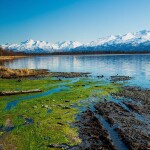 Algal bloom in Alaska