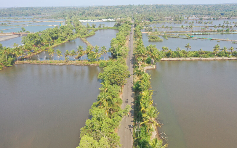 An aerial view of an Indian shrimp farm
