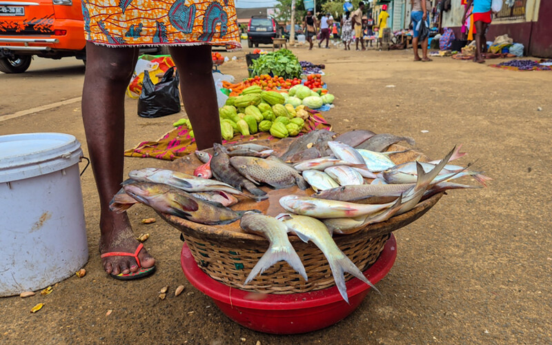 A fish vendor stand in São Tomé