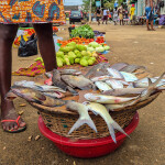 A fish vendor stand in São Tomé