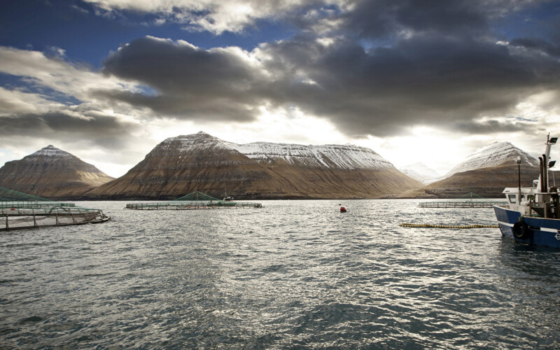 A Bakkafrost salmon farm in the Faroe Islands
