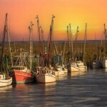 Shrimp boats in Georgia