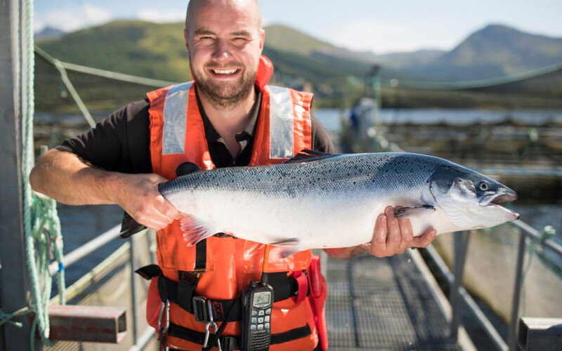 A Mowi farm manager holding a salmon