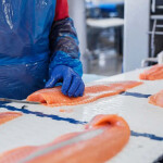A SalMar employee slicing a salmon fillet