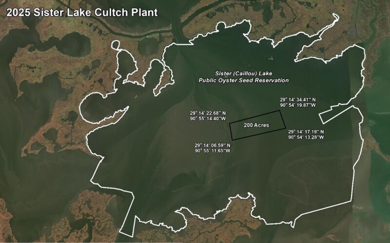 A 200-acre oyster reef in Sister (Caillou) Lake