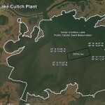 A 200-acre oyster reef in Sister (Caillou) Lake