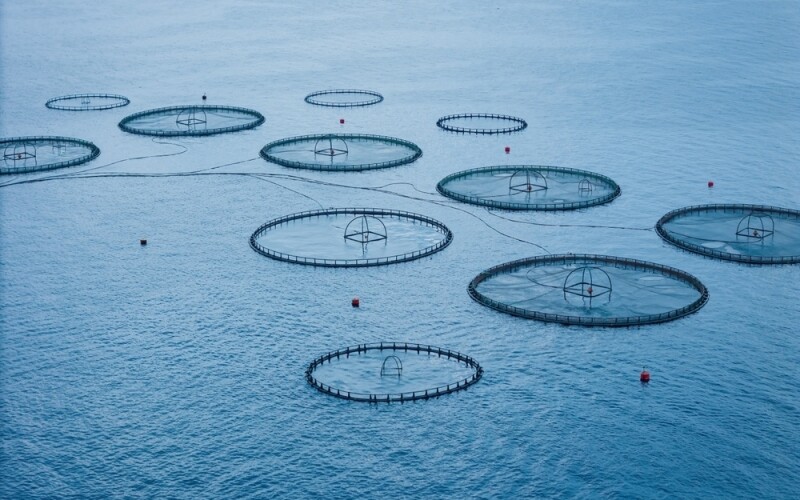 offshore aquaculture