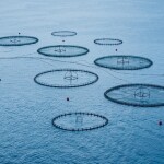 offshore aquaculture