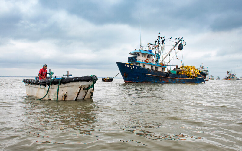 Tuna fishing boats in Ecuador