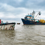 Tuna fishing boats in Ecuador