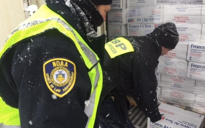 NOAA Enforcement inspects a shipping container