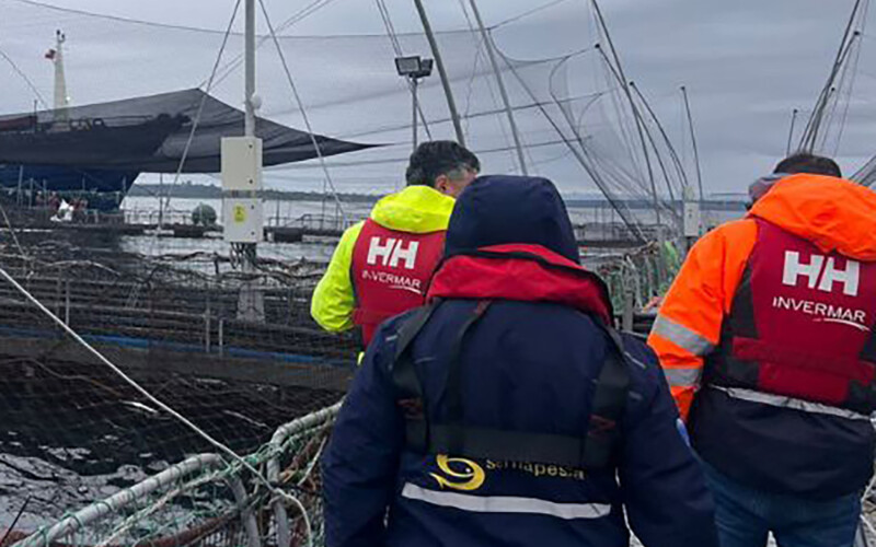 Invermar employees guiding a Sernapesca official