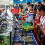 A seafood market in China