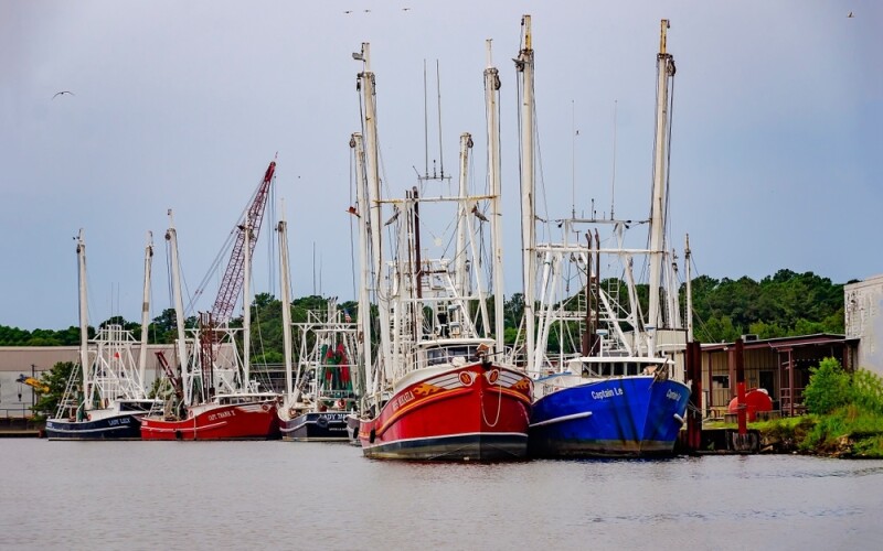 Shrimp vessels in Alabama