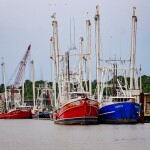 Shrimp vessels in Alabama