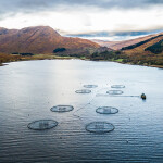 A salmon farm in Scotland