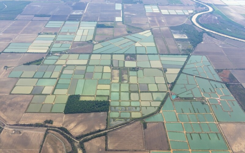 catfish farms in Mississippi