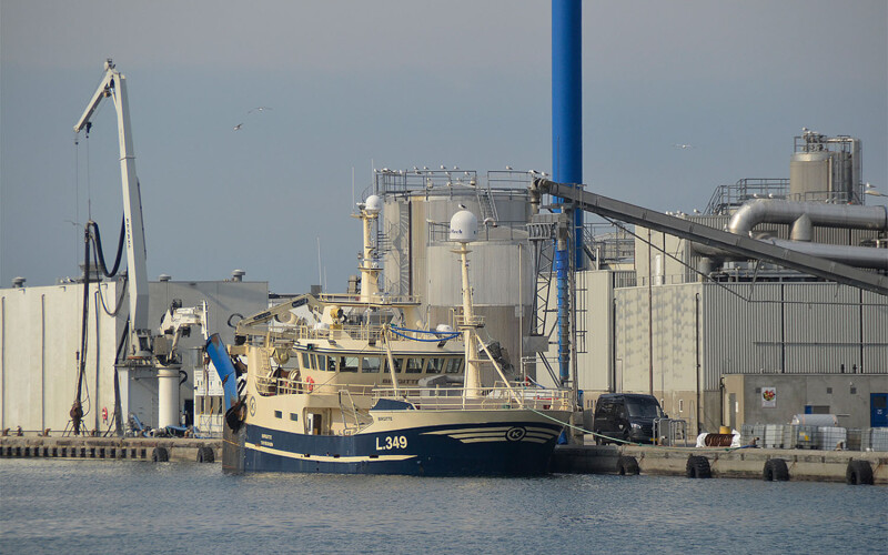 A fishing vessel offloading at the Port of Skagen
