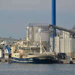 A fishing vessel offloading at the Port of Skagen