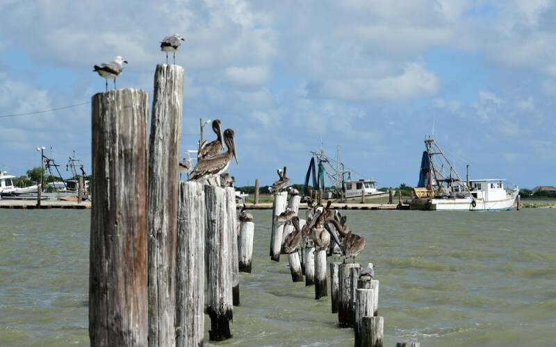 Seadrift, Texas, U.S.A.