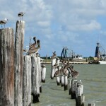 Seadrift, Texas, U.S.A.