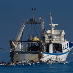 A fishing vessel off of Malaga, Spain