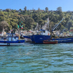 Alimar fishing vessels tied up at the dock