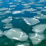 ice on Chesapeake Bay