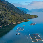 A Ventisqueros salmon farm