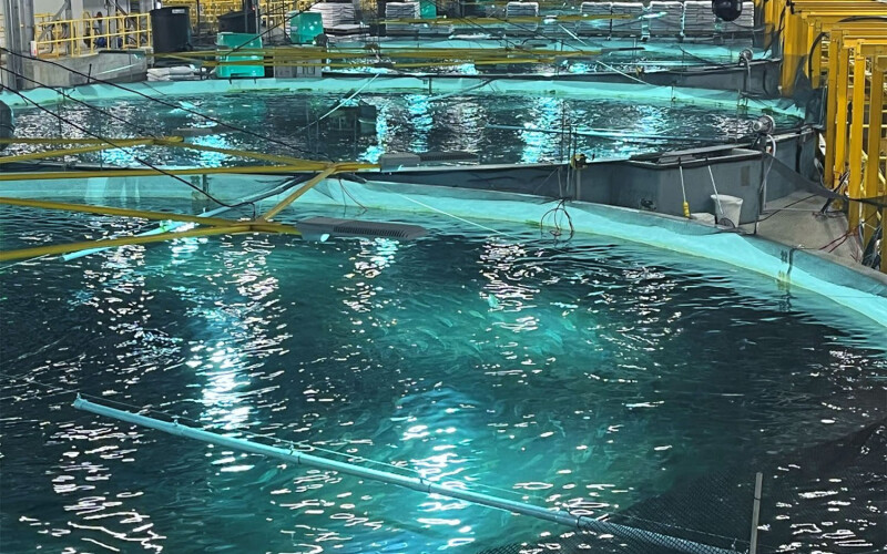 A row of salmon recirculating aquaculture system tanks at Proximar Seafood's facility in Yokohama, Japan