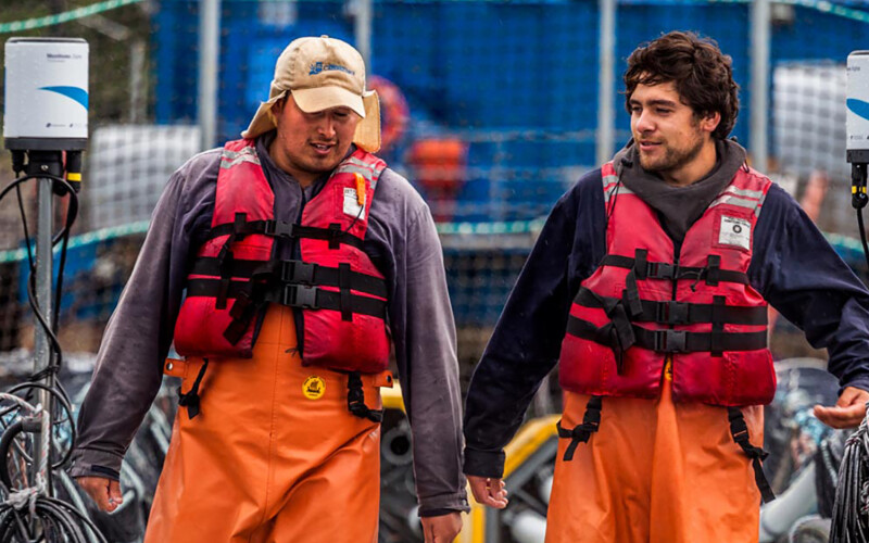 Salmones Camanchaca employees standing on a net pen