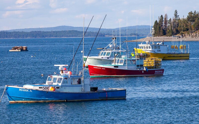 Lobster boats floating on the water in Bar Harbor, Maine