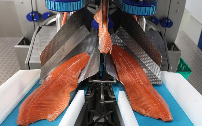 A JBT Marel machine processing salmon fillets