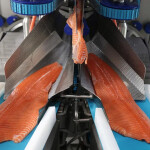 A JBT Marel machine processing salmon fillets