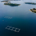 An aerial view of a salmon farm operated by Multi X