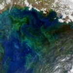 Satellite image from PACE