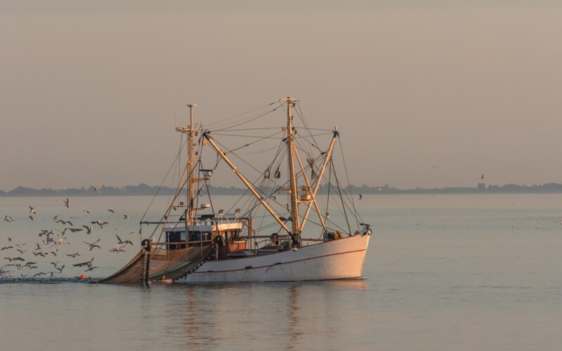 a fishing vessel