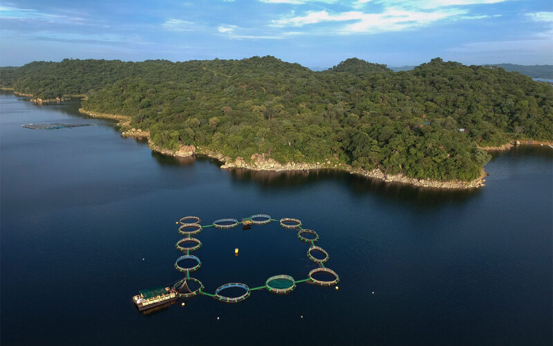 An aerial view of an aquaculture operation in Africa
