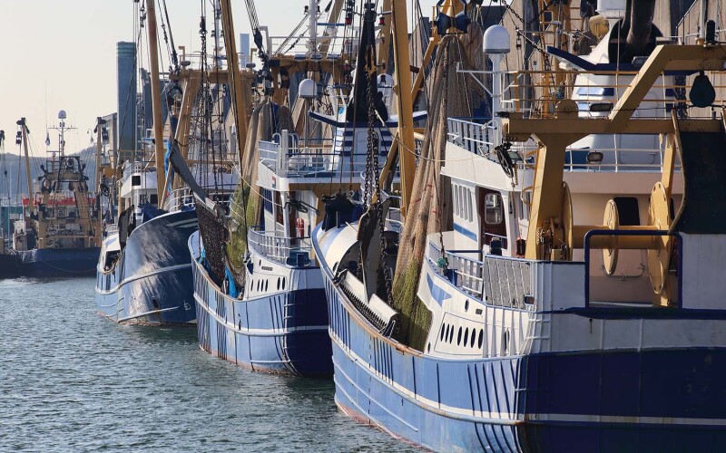 A series of fishing boats in the Netherlands