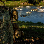 A Brazilian tilapia firm