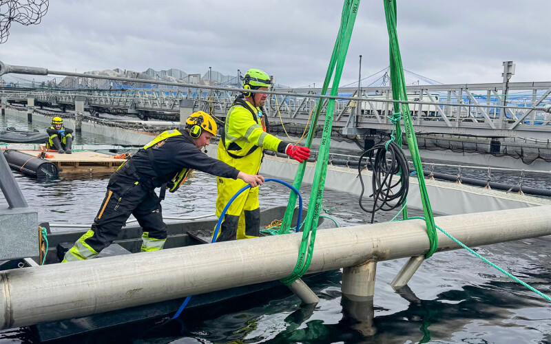 Men working at a Gigante Salmon aquaculture facility