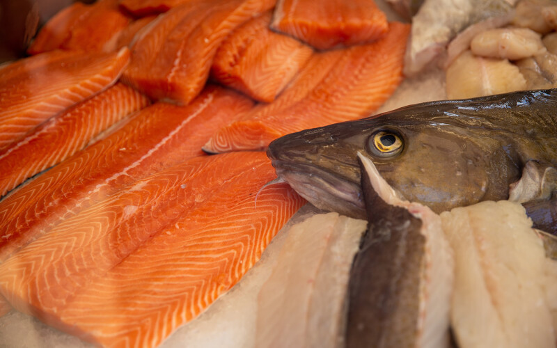 Salmon fillets next to a cod head
