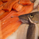 Salmon fillets next to a cod head