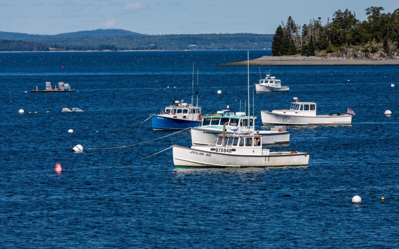 lobster boats