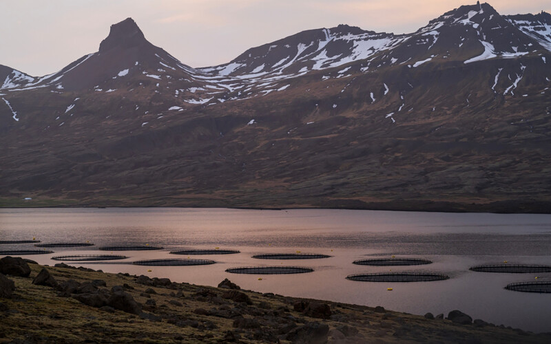A fish farm in Iceland