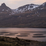 A fish farm in Iceland