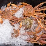 A container with snow crabs on ice